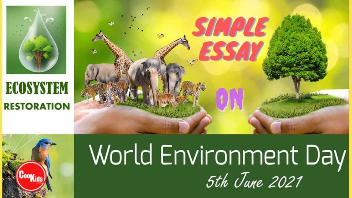 essay on environment day 2021