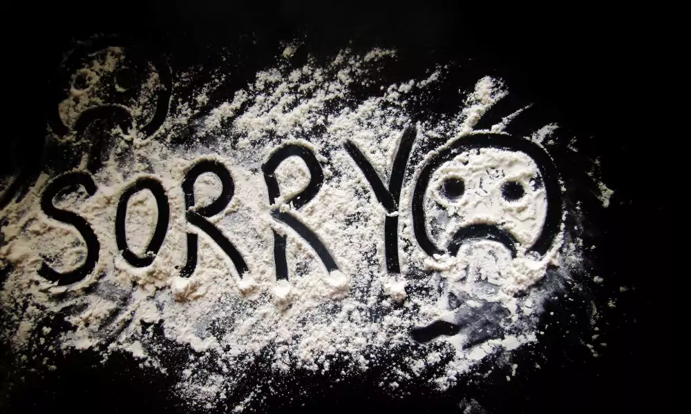 whatsapp sorry status