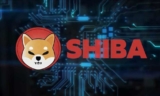 Ethereum whales scoop up 150 billion Shiba Inu coins as burn intensifies
